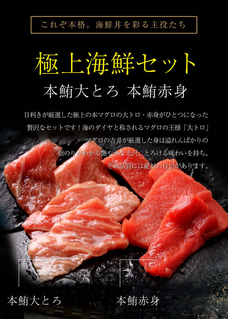 【広島】海鮮五色丼（４～5人前目安）