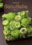 BeauBelle カロット