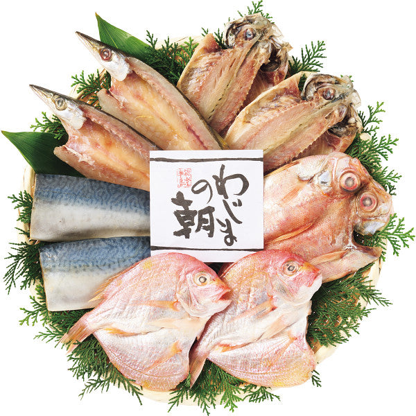 わじまの朝干物セット（５種９枚）