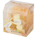 サンハーブ　バスギフト