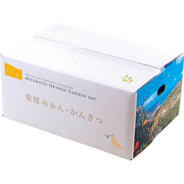 ミヤモトオレンジガーデン　冷凍みかん（皮なし）（１ｋｇ）