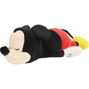 ダイカットクッション