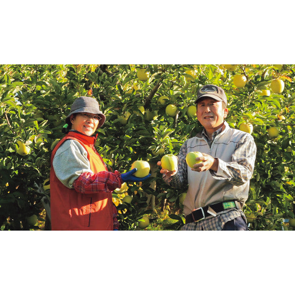 【お歳暮】季節の野菜果実のバラエティギフト（２１本）